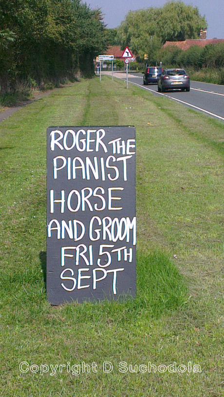 Roger The Pianist