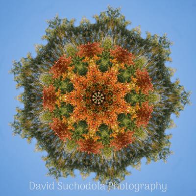 Mandala05 Mandala05