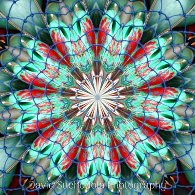Mandala10 Mandala10