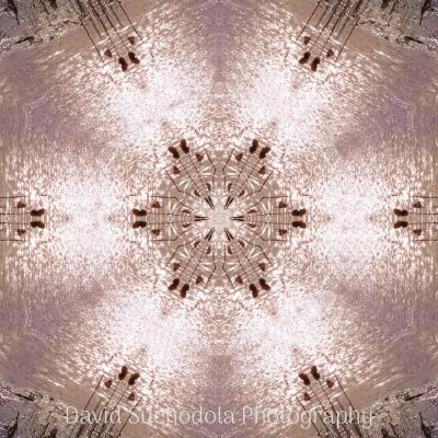 Mandala12 Mandala12